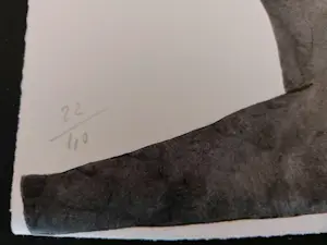 Reinhoud D'Haese - kleurenets - titel: Schaduw - oplage 40 stuks - CoBrA - ingelijst kopen? Bied vanaf 160!