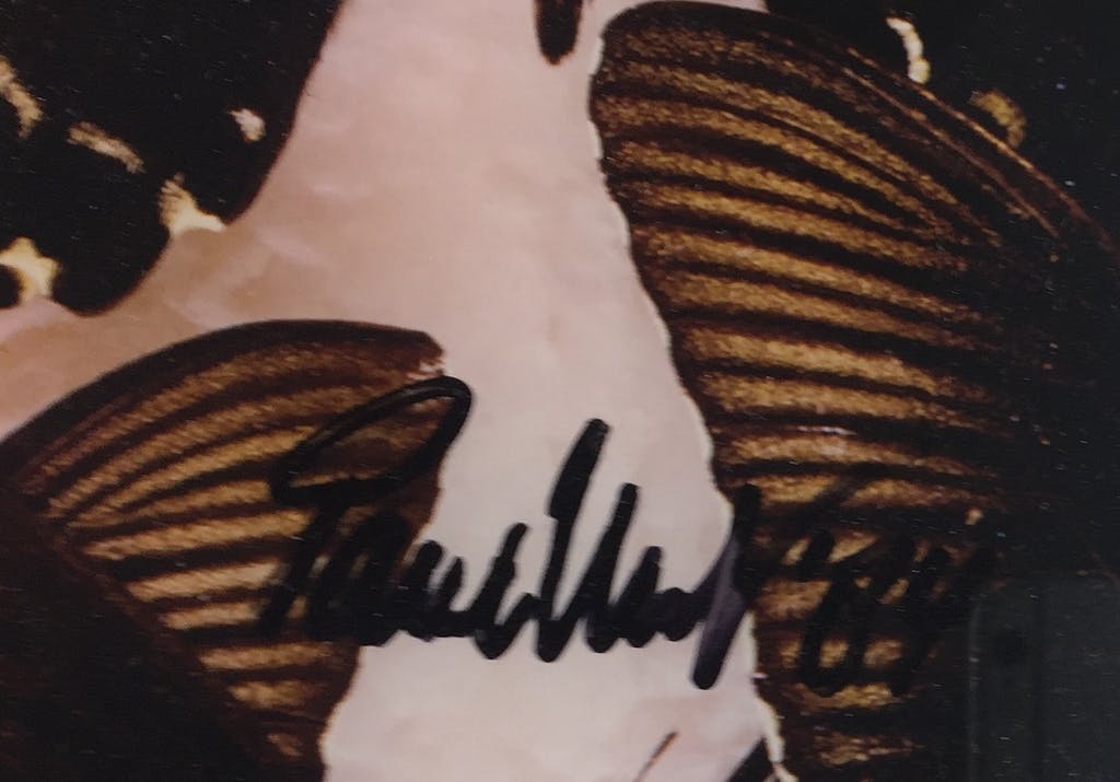 Paul Huf - Paul Huf, foto, 'Indo-Australian Papilionidae', 1984 kopen? Bied vanaf 649!