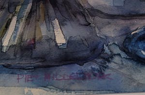 Piet Middelhoek - Tulpen in glas kopen? Bied vanaf 150!