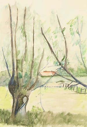 Niet of onleesbaar gesigneerd - Aquarel, Landschap met knotwilg - Ingelijst kopen? Bied vanaf 1!