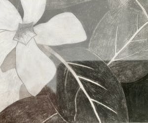 Mark Cohen - Work on paper N3 kopen? Bied vanaf 45!