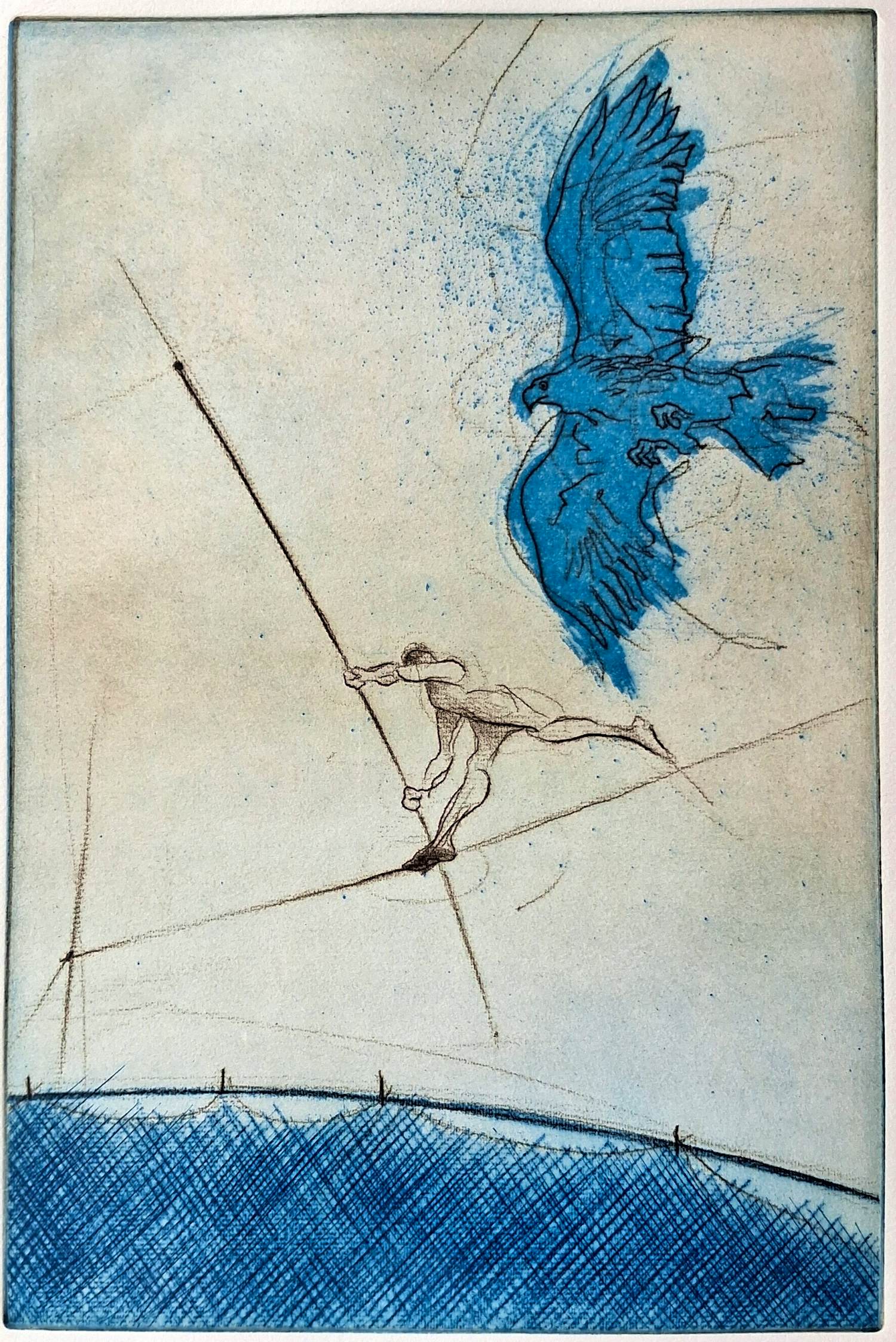 Ronald Tolman - Koorddanser en vogel kopen? Bied vanaf 95!