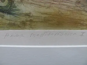 Sam Parabirsingh - Anima Mediterranica I kopen? Bied vanaf 65!