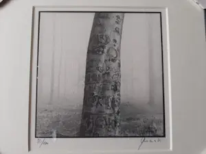 Ralph Janowski - 3 computerprints, van Ralph Janowski, Boom in de ochtend mist kopen? Bied vanaf 120!