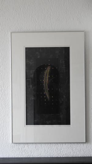 Bert Vredegoor - zie de zon kopen? Bied vanaf 10!