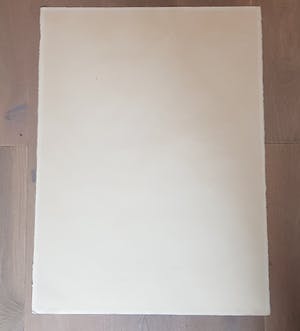 Jan Cremer - litho 41/200, handgesigneerd en 1990 kopen? Bied vanaf 1!