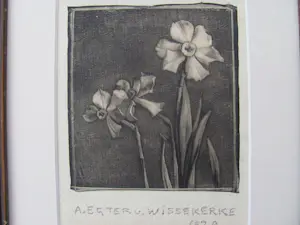 Anna Egter van Wissekerke - narcissen kopen? Bied vanaf 50!