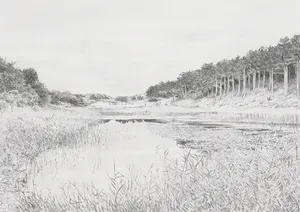 Chris Nobels - Potlood, Ganzenhoek Wassenaar - Ingelijst kopen? Bied vanaf 1!