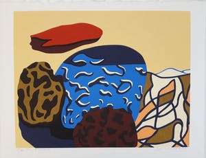 Doris Groeneveld - New Zealand kopen? Bied vanaf 20!