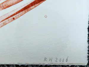 Ronald Noorman - Excl. 2006 box Go ahead Float - zeer kleine oplage (10) - met begeleid. brief! kopen? Bied vanaf 380!