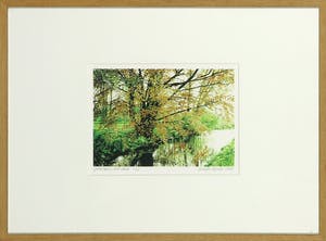 Wanda Werner - Piëzografie, Groningen, rode beuk - Ingelijst kopen? Bied vanaf 1!