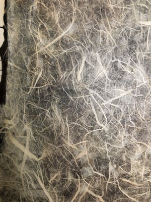 Ingo Leth - Celebrate Sakura kopen? Bied vanaf 500!