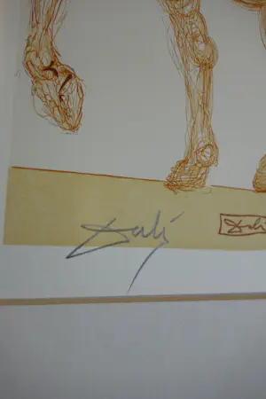 Salvador Dali - Der Kentaur Cacus*Göttliche Komödie kopen? Bied vanaf 850!