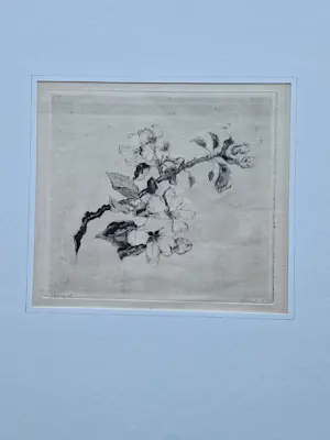 Suze de Lint - omstreeks 1920 - delicate droge naald Ets "bloesemtak" zeer kleine oplage (25) kopen? Bied vanaf 31!