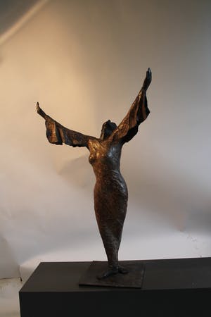 Dierik Potvlieghe - Hymne kopen? Bied vanaf 2250!