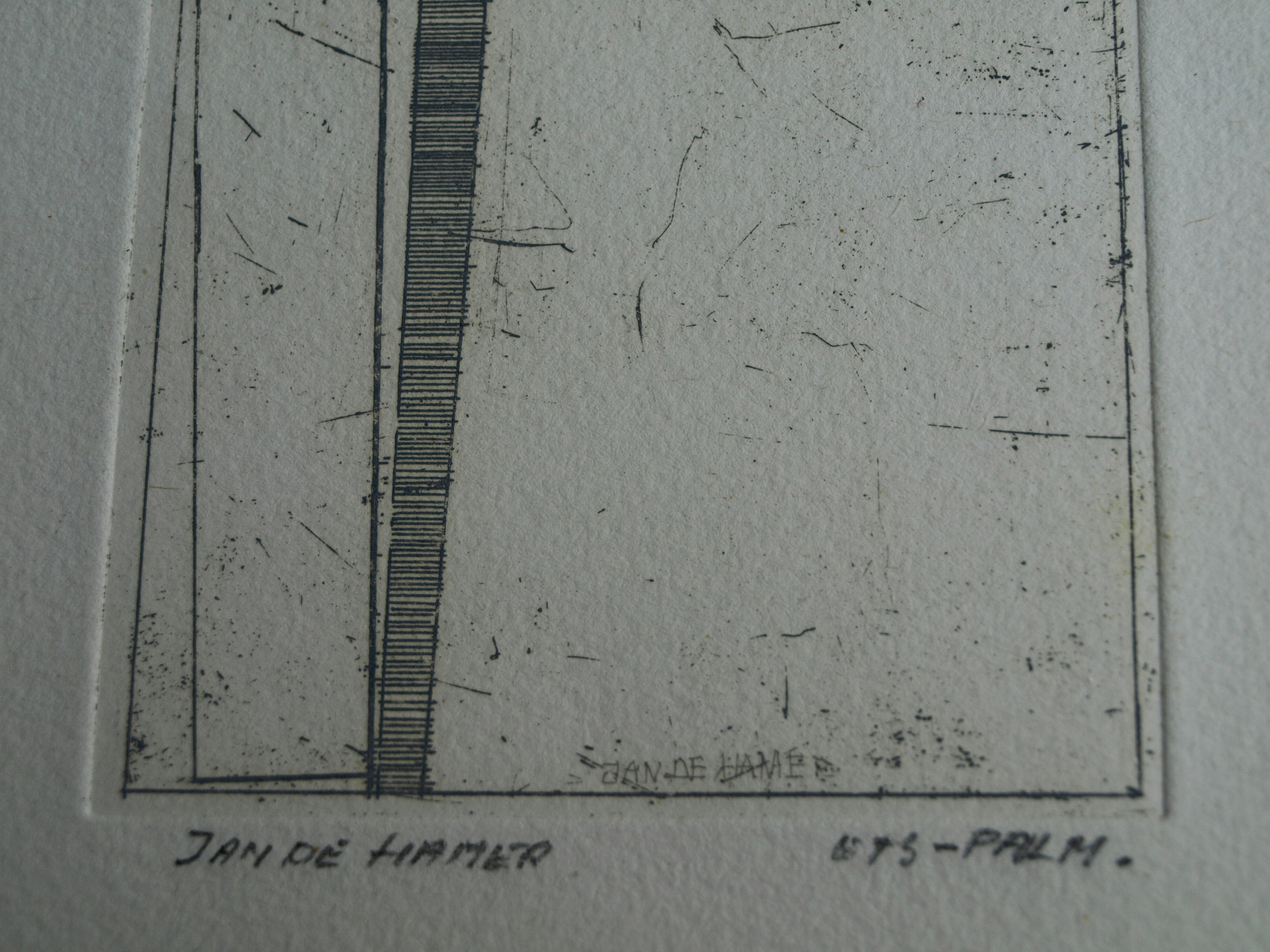 Jan de Hamer - Ets, Palm – gesigneerd – ca 1975 kopen? Bied vanaf 1!