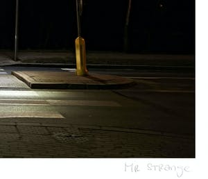 Mr. Strange - Le Pachyderme kopen? Bied vanaf 65!