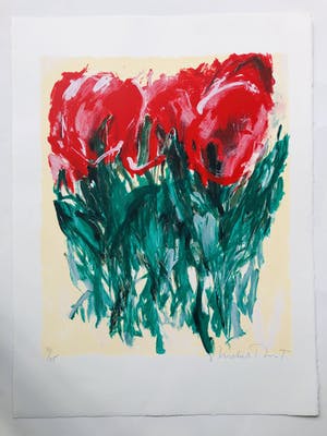 Michel Poort - Tulpen in rood kopen? Bied vanaf 45!