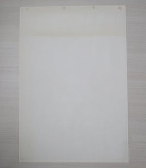 Curiosa - Italiaans filmaffiche: James Bond 007, Thunderball, Sean Connery (1965) kopen? Bied vanaf 1!