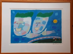 Wouter Stips - Droomvliegen kopen? Bied vanaf 65!