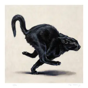 Mr Strange - De zwarte kat kopen? Bied vanaf 85!