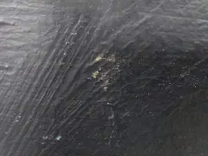 Piet Schoenmakers - Olieverf op board, Zonder titel - Ingelijst kopen? Bied vanaf 350!