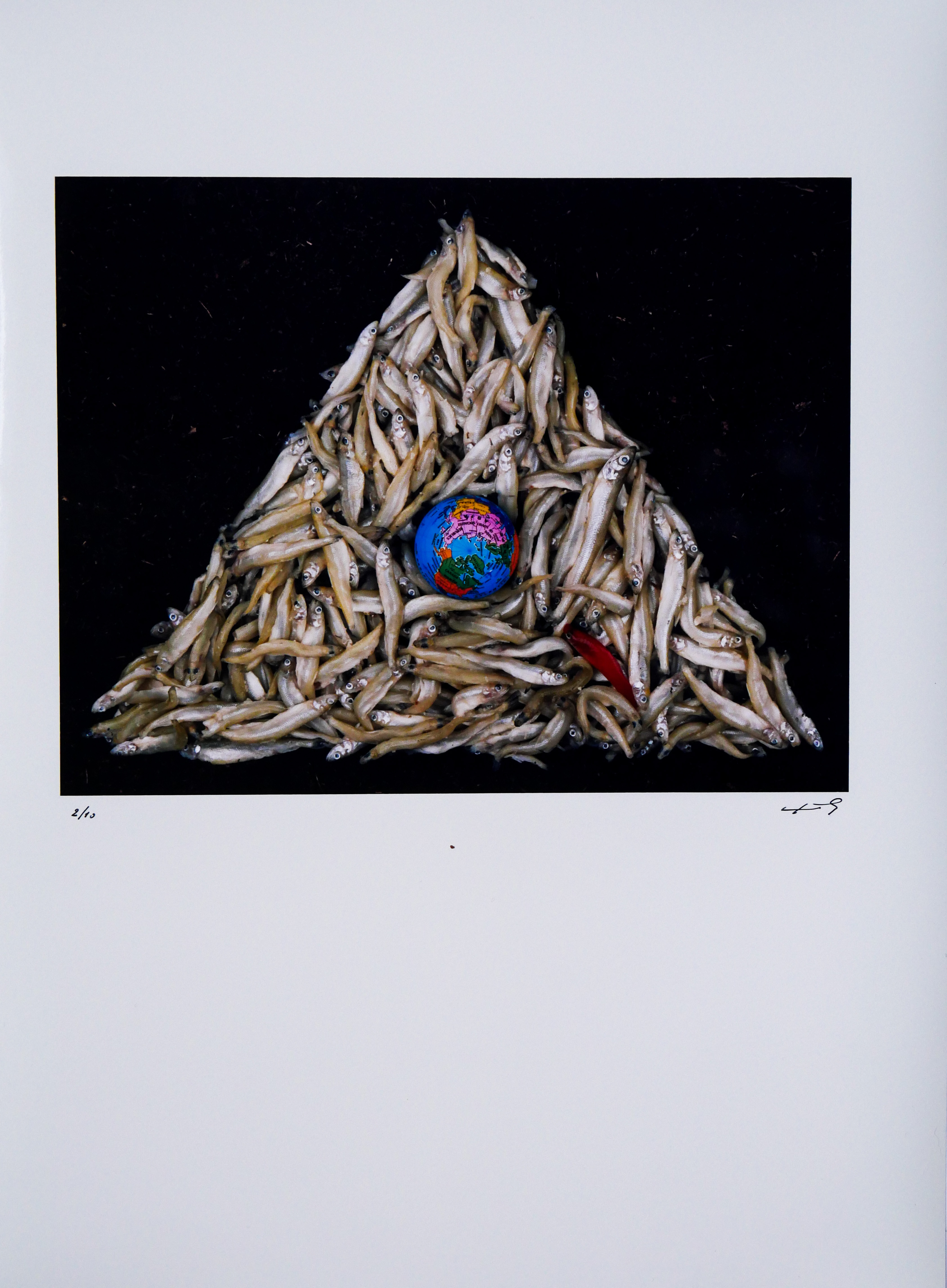 Ludo Geysels - The best of two worlds kopen? Bied vanaf 35!