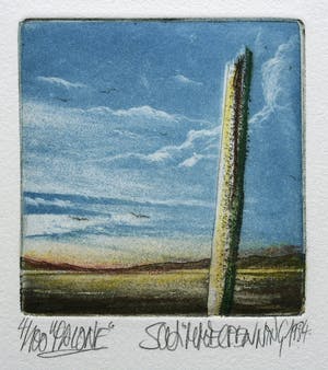 Jochen Schimmelpenning - Palone kopen? Bied vanaf 29!