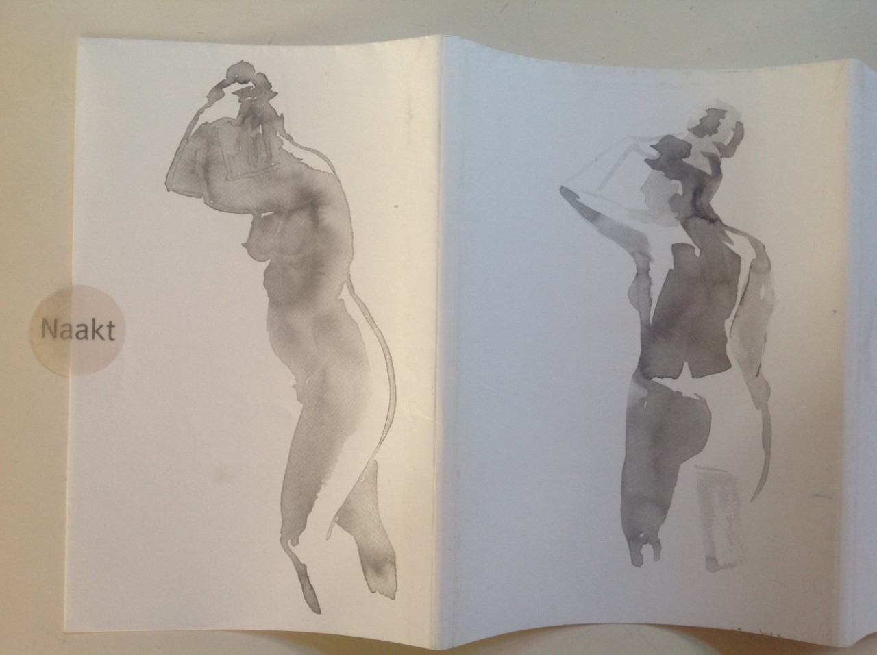 Niet of onleesbaar gesigneerd - Sylvia Wybenga - Kalligrafisch Naakt - 32 portretten kopen? Bied vanaf 1!