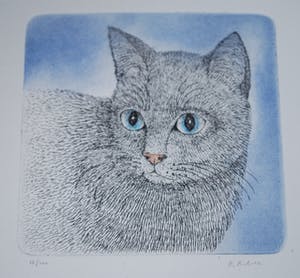 Jose van Gool - 2 katten - 2 etsen kopen? Bied vanaf 35!