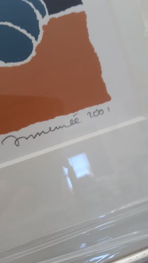 Hans Innemee - De blauwe kikker kopen? Bied vanaf 30!