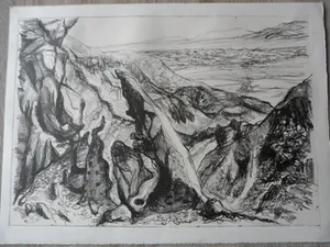 Leo Hofman - Ets, titel, Negev woestijn Israël. kopen? Bied vanaf 15!