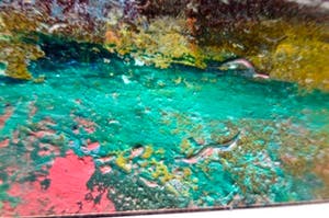 Joris Collier - Green river / Wild Countryside - Set van 2 tweeluiken kopen? Bied vanaf 1!