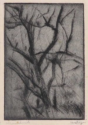 Wim Steijn - Ets, Struik kopen? Bied vanaf 20!