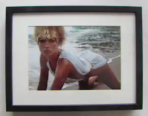 Inez van Lamsweerde - Kate Moss vendu pour 85€ !