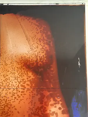 Anne Kreiter - Female Body kopen? Bied vanaf 120!