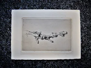 Jan Deodatus - Bijzonder mooie droge naald Ets - Kastanjetak in bloei - 1948 - potloodgesigneer kopen? Bied vanaf 43!