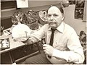 Ari Stolk - Invallende eenden met dorpje kopen? Bied vanaf 30!