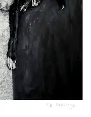 Mr Strange - Op de weg (De witte lijn) kopen? Bied vanaf 85!