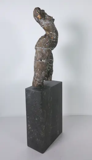 Gerard Engels - Brons, Vrouwentorso op hardstenen voet + 3 boeken! kopen? Bied vanaf 500!