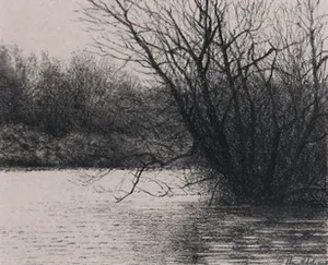 Chris Nobels - Krijt, Duinen Meijendel kopen? Bied vanaf 50!