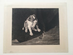 Willem Steelink (sr.) - diverse etsen kopen? Bied vanaf 35!