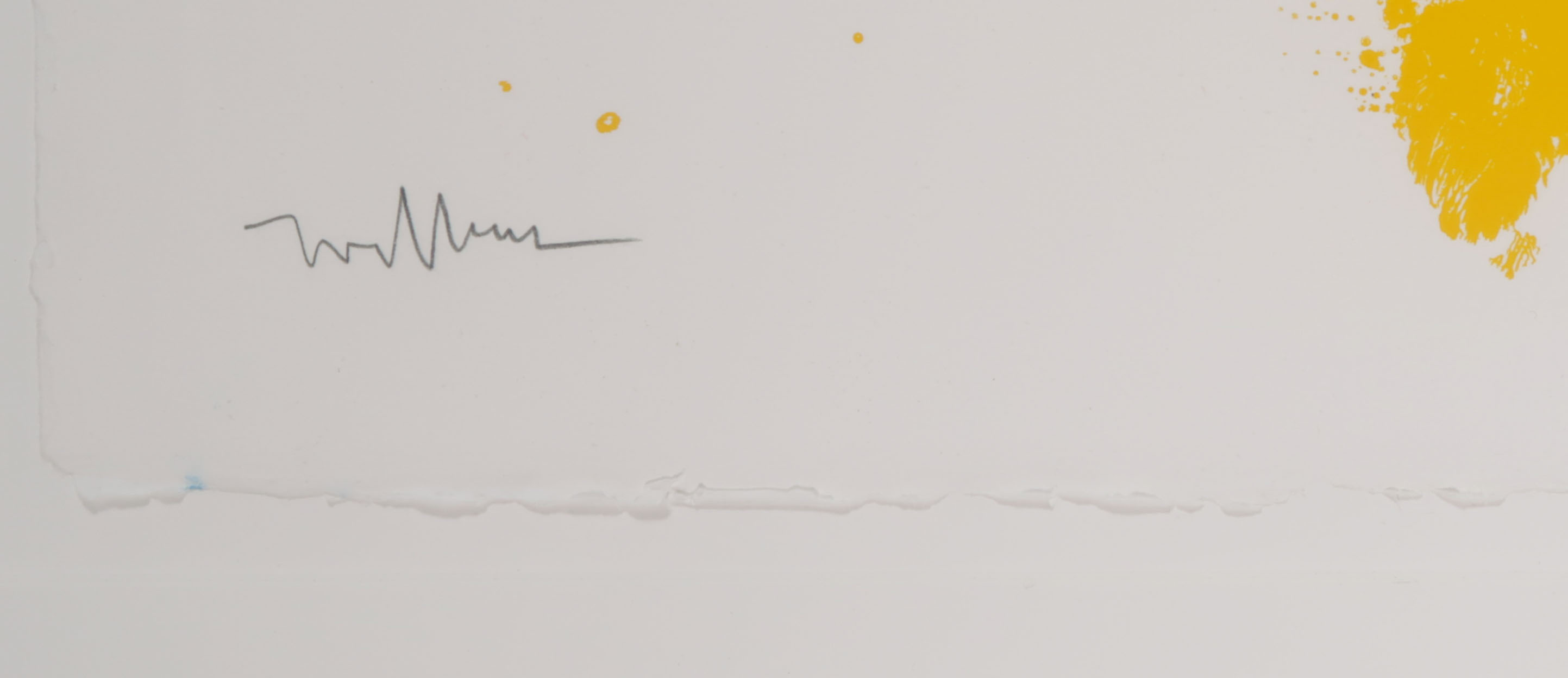 Willem Verburg - Zeefdruk, Masterview, Advice Free - Ingelijst (Groot) kopen? Bied vanaf 1!