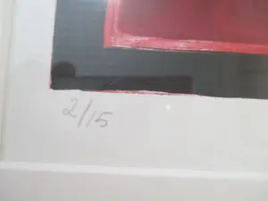 Inez Creuwels - Litho "in de Maneschijn" in mooie Barth lijst! kopen? Bied vanaf 1!