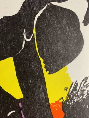 Jef Diederen - kleurenhoutsnede op Japans papier/rijstpapier - 1990 kopen? Bied vanaf 79!