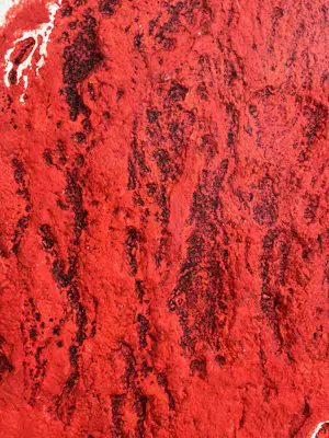 Armando - Innenstadt (rot) kopen? Bied vanaf 1050!