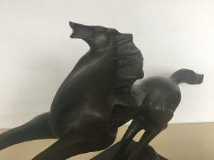 Brons (Onbekend) - Paard kopen? Bied vanaf 60!