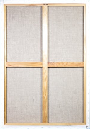 Kiss Riemvis - Olieverf op doek, z.t. Transformatie kopen? Bied vanaf 50!