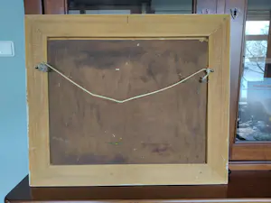 Arnout Colnot - Bruggetje kopen? Bied vanaf 500!