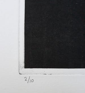 Rene Polak - Wisent, aquatint ets kopen? Bied vanaf 45!